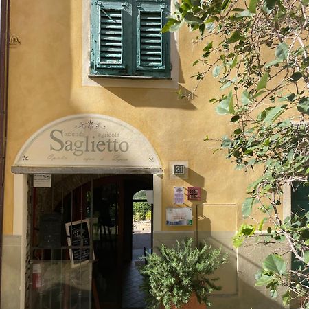Uliveto Saglietto Agriturismo A Poggi Apartments Imperia Dış mekan fotoğraf