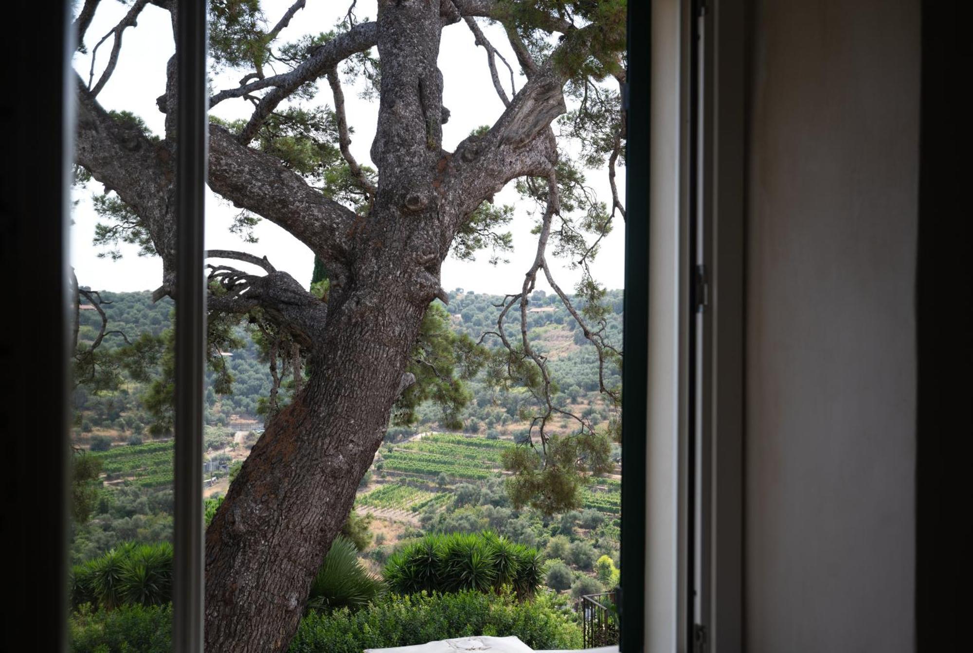 Uliveto Saglietto Agriturismo A Poggi Apartments Imperia Dış mekan fotoğraf