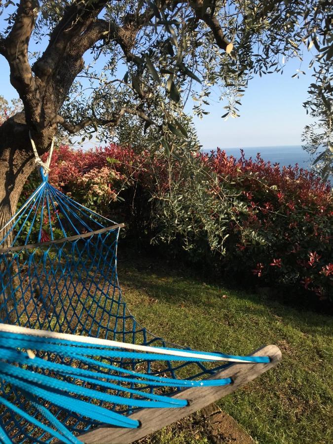 Uliveto Saglietto Agriturismo A Poggi Apartments Imperia Dış mekan fotoğraf